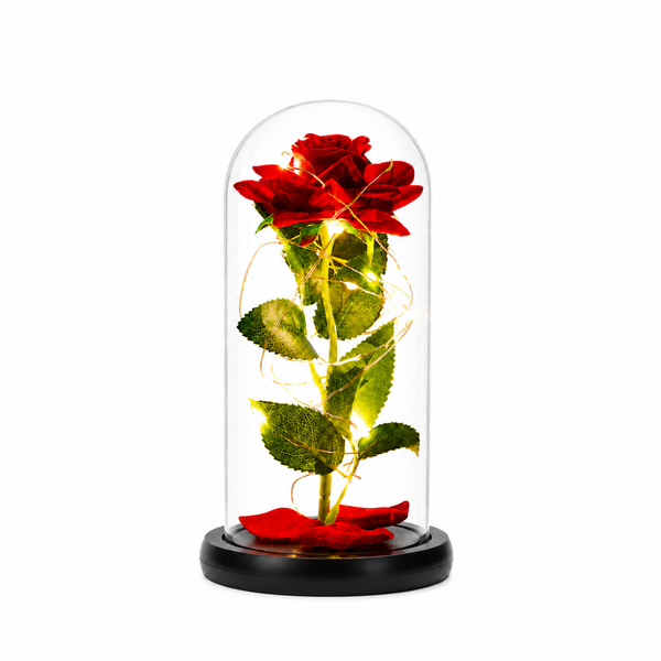 Enchanted Rose Glass Dome